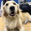 명륜여자중학교 이미지