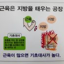 커브스옥정클럽 | 옥정헬스장 커브스 -24kg 체중감량 후기