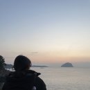 유플러스 씨 | 제주 2박 3일 여행 2탄｜1월 1일에 일출 보고 돌고래 보면 어떤 소원이 이뤄지나요?