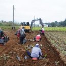 종근축산 이미지