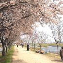 강촌강변마을 이미지