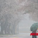 송성1리마을회관 이미지