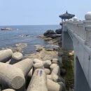 만타스시 - 안양시 동안구 관평로170번길 33 | 만타스시