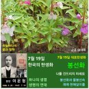 7월 19일. 한국의 탄생화와 부부 사랑 / 봉선화, 서양봉선화 이미지