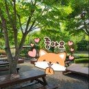 장흥황토마당 | 양주 장흥 참숯가마골랜드 찜질방 정보