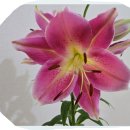 제1종근린생활시설 이미지