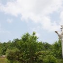 예당국민관광지 Daum카페