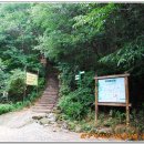 대야산자연휴양림 이미지