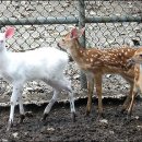 금어농장 이미지