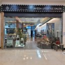 포레스타 부산 이미지