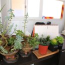 명차화성검사소 이미지