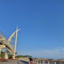 조가물민박 이미지