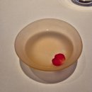 남산오리농장 | 흑백요리사2 손종원 셰프님의 <라망시크레> 12월 런치 후기 - 셰프님 실물영접!!