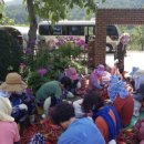 백송 농장 이미지