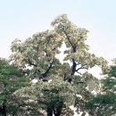 광양읍 유당공원 이미지