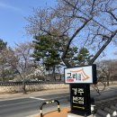 김밥요일 이미지