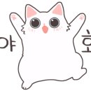 인동36길-13 이미지