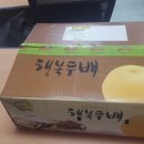 아리랑식품영농조합법인 이미지