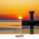 동선새바지 이미지