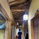 송하입구 | 조치원 맛집 세종 드라이브 민어요리 송하민어구이 내돈내산