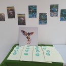 조이댕댕 이미지