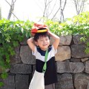 비슬향 유치원 이미지