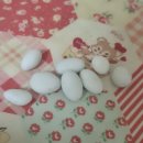 삼성중공업(주)F식당(귤도) | 마음의 여유(F:) 1.91MB 사용 가능