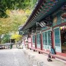 (주)드림모터스 이미지