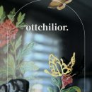 옻칠리어(Ottchilior)