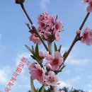 별빛바다펜션 민박 이미지