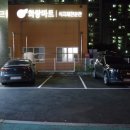 유로코피자 증평점 이미지