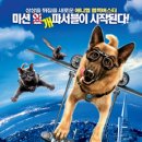 캣츠앤독스 이미지
