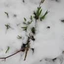 행복소아청소년과의원 이미지