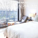 선샤인 | 파크선샤인제주 후기, 서귀포 한라산뷰 조식 가족 여행 더블할인 특가