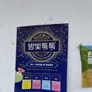 진부전통시장 | [여행][2025.09.13] 강원 평창군 / 진부전통시장 문화광장 / 여행 중 마주한 밤빛 톡톡 축제