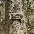 월정사 화장실 이미지