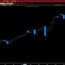 슈왑 US DVD EQUITY ETF (SCHD) 이미지