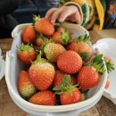 기종농장 이미지