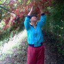 명화농장 이미지