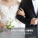 💍 진주 스몰웨딩 후기 | 작은 결혼식 (65명) 예산 &amp; 장소 추천 🎀