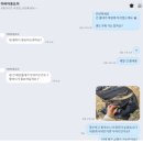 아버아웃도어 터널 210 텐트｜부러진 메인폴대 유상 수리 후기