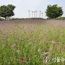 쉼이필요할때 이미지