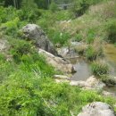 백운로(도산면) 이미지