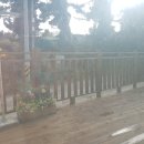 발트하임 이미지