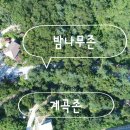 호명산캠프 이미지