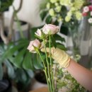 (주) 환경과 가치 | 수원꽃집 주와후 권선상록3단지아파트 신동카페거리꽃집 예약 팁