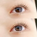 구지로L 이미지