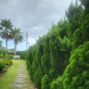 제주놀3320 이미지