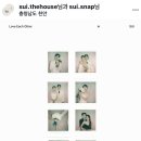 더 하우스 헤어 | 감성 웨딩 스튜디오 “수이 더 하우스” 계약 솔직후기