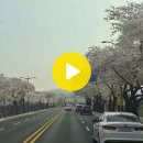 예림초등학교 이미지